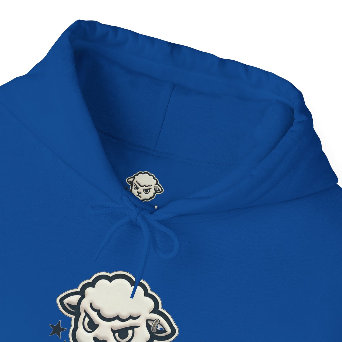 RawSoul Productions Logo Hoodie