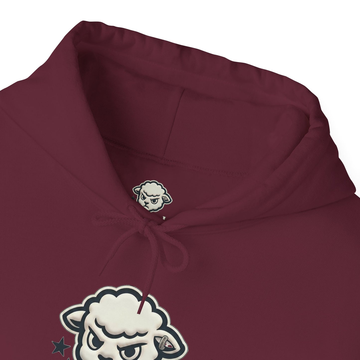 RawSoul Productions Logo Hoodie